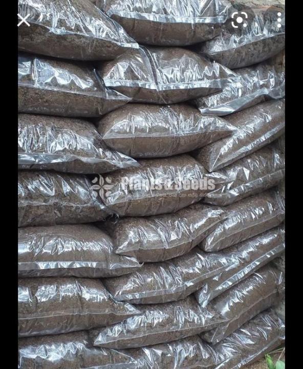 Cow%20dung%201%20kg%20for%20your%20home%20garden.%20%E0%B6%9C%E0%B7%9C%E0%B6%B8%20%E0%B6%B4%E0%B7%9C%E0%B7%84%E0%B7%9C%E0%B6%BB%20(%20%E0%B6%B4%E0%B7%83%E0%B7%8A%20%E0%B6%9A%E0%B7%80%E0%B6%BD%E0%B6%B8%E0%B7%8A%20%E0%B6%9A%E0%B6%BB%20%E0%B6%B1%E0%B7%9C%E0%B6%B8%E0%B7%90%E0%B6%AD)%20-%20Image%206
