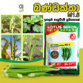 Okra M.I.5 Seeds Banndakka Beeja 50g බණ්ඩක්කා බීජ Home Gardening Agriculture. 
