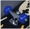 Big Skate Board for kids & adults {31 INCHES}. 