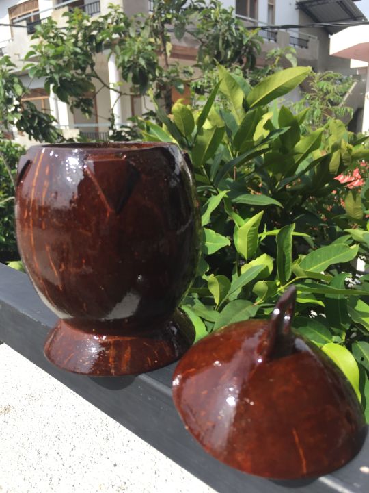 Coconut%20Shell%20Salt%20Container%20Lunu%20Polkatu%20Handmade%20-%20Image%202