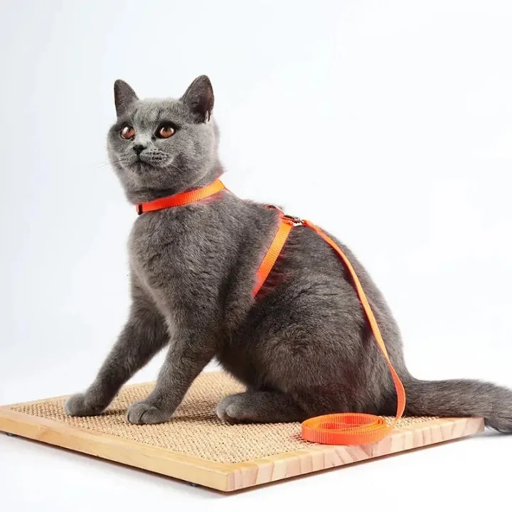 Cat%20Collar%20Harness%20Leash%20Adjustable%20Nylon%20Kitten%20Halter%20Collar%20Pet%20Traction%20Puppy%20Dog%20Cat%20Product%20Pet%20Harness%20Belt%20-%20Image%204
