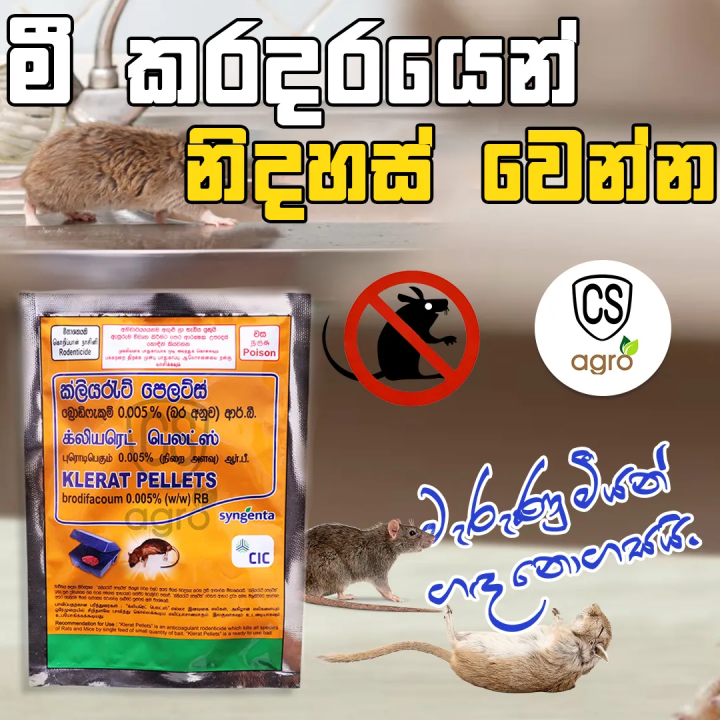 Klerat Wax Blocks Rat Killer indoor Home