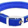 Nylon Padded Dog Collar - 3/4. 