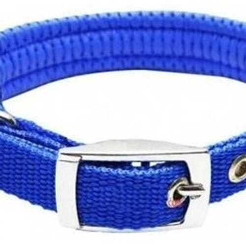 Nylon Padded Dog Collar - 3/4