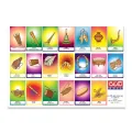Richard Picture Paper - Deshiya Sangeetha Banda - 10 Sheets. 