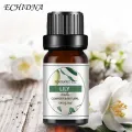 10ml Essential Oil Permeable Calm Emotion Non-Irritating Water Soluble Rose Diffuser Oil for Indoor. 
