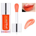Aliver Hydrating Transparent Plumping Lip Gloss 05 Color/Set. 
