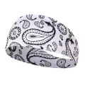 Sports Hair Bands Elastic Yoga Hairbands Absorbing Sweat Headband Women Men Running Fitness Turban Outdoor Gym Head Wrap Bandana. 