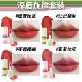 Sissy Dance Soft Mist Matte Lipstick Lip Glaze Lip Clay Makeup Waterproof No Color Velvet Blush Lipstick Student Party. 