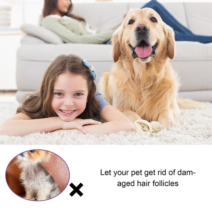 %E3%80%90Beauty%20Code%E3%80%91Dog%20Hair%20Loss%20Treatments%20for%20Dogs%20Cats%20Safe%20Ingredient%20Use%20on%20Body%20Promotes%20Hair%20Growth%20-%20Image%204