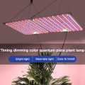 Poplikdfr 60W LED Quantum Board Plant Grow Light Full Spectrum Dimming Timer Succulents Growing Lights For Indoor Plants. 
