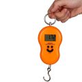 Portable Mini 50Kg/10g LCD Display Luggage Fishing Hook Electronic Weight Digital Scale Pocket Weighing Hanging Scale. 