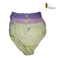6/3 in 1 Pack Fat Lace Plane Ladies Women Comfortable Panty Underwear Panties Lingerie Female. 