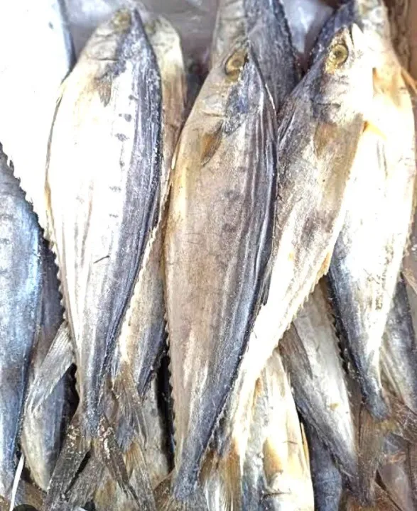 Dry%20Fish%20/%20Dry%20Katta%20/%20Dry%20and%20Clean%20Katta%20/%20Clean%20Katta%20(200g).%20-%20Image%202