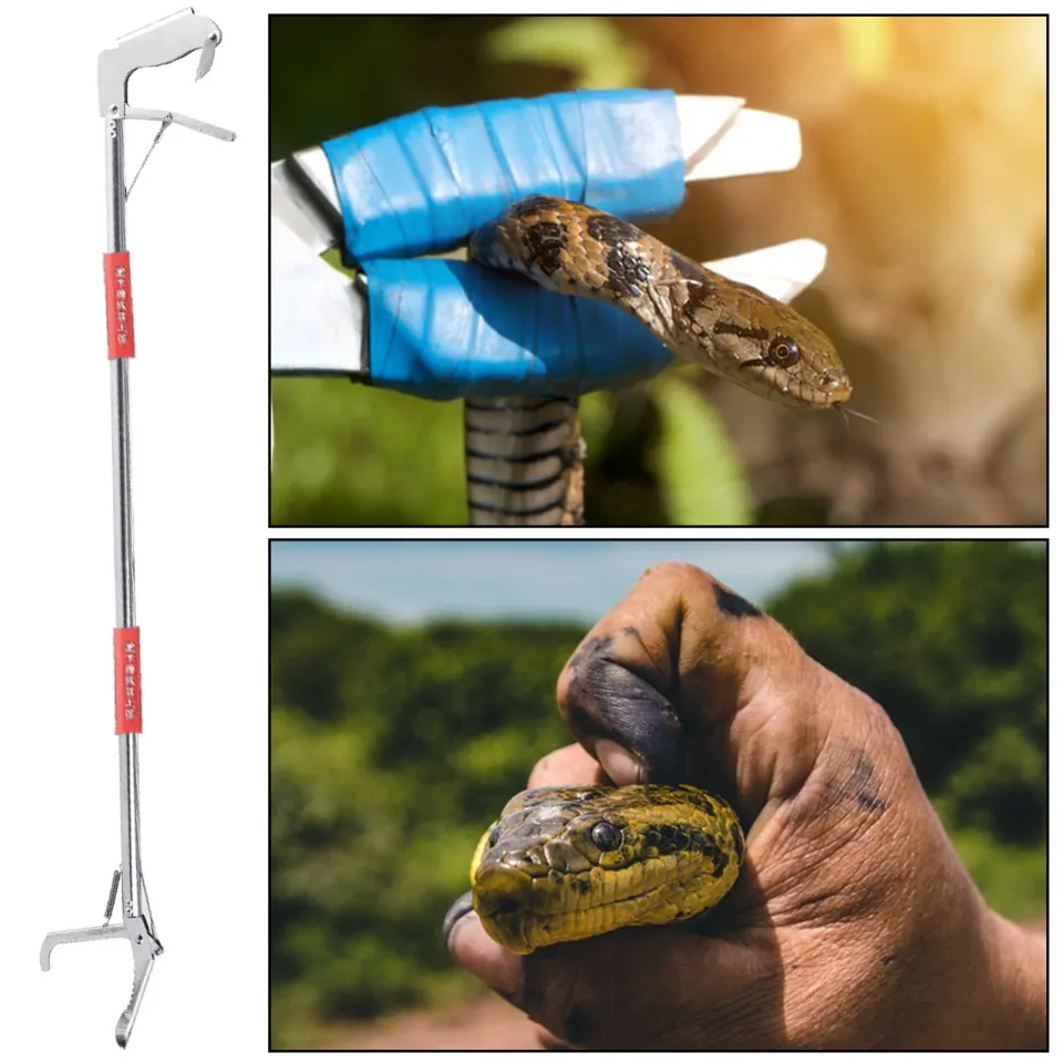 IClover 47 Inch Professional Standard Snake Tongs Reptile Grabber Rattle Catcher Wide Jaw Handling Tool Collapsible Stainless Steel Hook Aziatec Inc