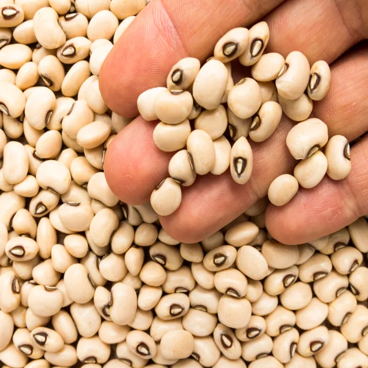 Cowpea%20%20%E0%B7%83%E0%B7%94%E0%B6%AF%E0%B7%94%20%E0%B6%9A%E0%B7%80%E0%B7%8A%E0%B6%B4%E0%B7%92%20kawpi%20500g%20-%20Image%203