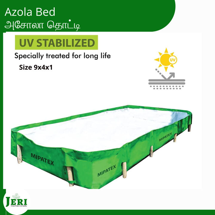 Azola Bed/Azolla Cultivation Bed / Azolla Growing Bed/ Azolla Farming ...