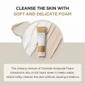 [SKIN1004 OFFICIAL]  Madagascar Centella Ampoule Foam 20ml | Centella Asiatica Extract | Coconut Oil | moisturise the irritated skin | Sensitive skin. 