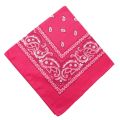 2023 Fashion Bandana Square Scarf 55cm*55cm Size Boys/Girls Scarf For Women Scarf For Men New fashion design, Very popular. 