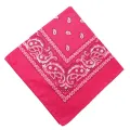 2025 Fashion Bandana Square Scarf 55cm*55cm Size Boys/Girls Scarf For Women Scarf For Men New fashion design, Very popular. 