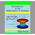 Introduction to the Mathematics of Variation. 