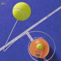 Tennis Ball Trainer, Tennis Baseboard Self Training Portable for Beginners Adult Players, Training Equipment, Professional Tennis Training Tool. 