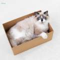 Cat Scratch Box Sofa Furniture Protection for Kitten Reversible Scratcher. 