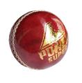 Cricket ball. 