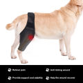 Pet Dog Injury Knee Brace Leg Inflammation Pain Alleviate Leg Support Sheaths for Dogs Outdoor Walking Warm Accessories. 