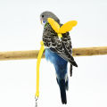 BETOP Adjustable Pet Parrot Harness Leash Anti-Bite Outdoor Flying Training Rope for Small Medium Parrot Macaw Cockatiel Budgie Strap Bird Supplies. 