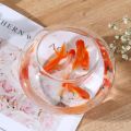 Home Decor Clear Transparent Round Fish Portable Plastic Fish Bowl Small creative Desktop Aquarium Bowl small ornamental fish. 