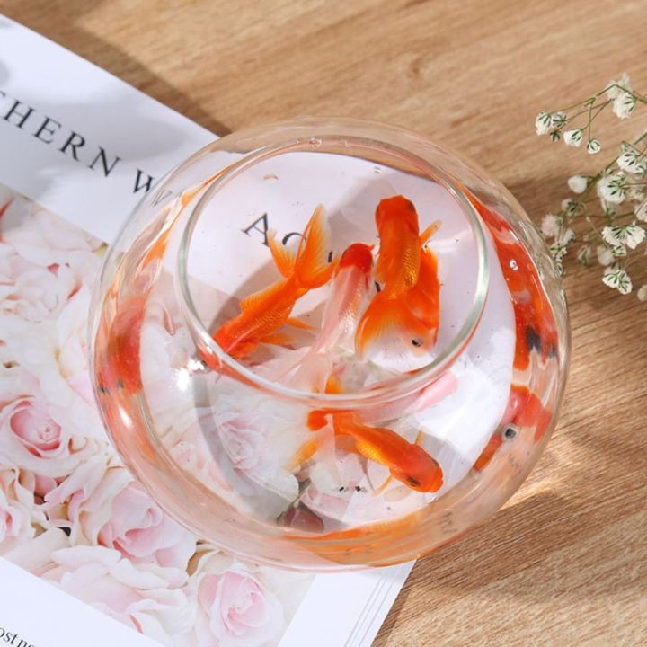 Home%20Decor%20Clear%20Transparent%20Round%20Fish%20Portable%20Plastic%20Fish%20Bowl%20Small%20creative%20Desktop%20Aquarium%20Bowl%20small%20ornamental%20fish%20-%20Image%208