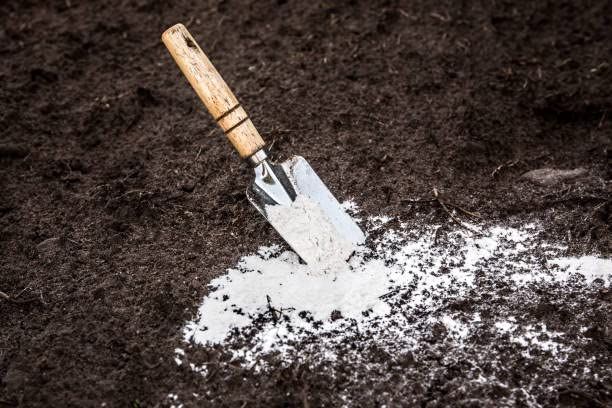 Dolomite%202Kg%20for%20Home%20Garden%20Fertilizer%20Coconut%20-%20Image%204