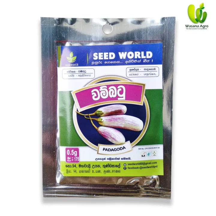 Eggplant%20PADAGODA%20175+%20Seeds%20Wambatu%20Beeja%200.5g%20-%20Image%202