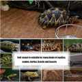 Tortoise Coco Mat Reptile Coconut Fibre Carpet Floor Pad Mat Bedding Substrate爬虫陆龟椰丝垫材 Kura Penyu Reptilia Tikar. 