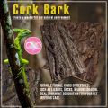 Natural Reptile Bark Cork Bark Hide for Isopods - Reptiles Exotic Pets Terrariums. 