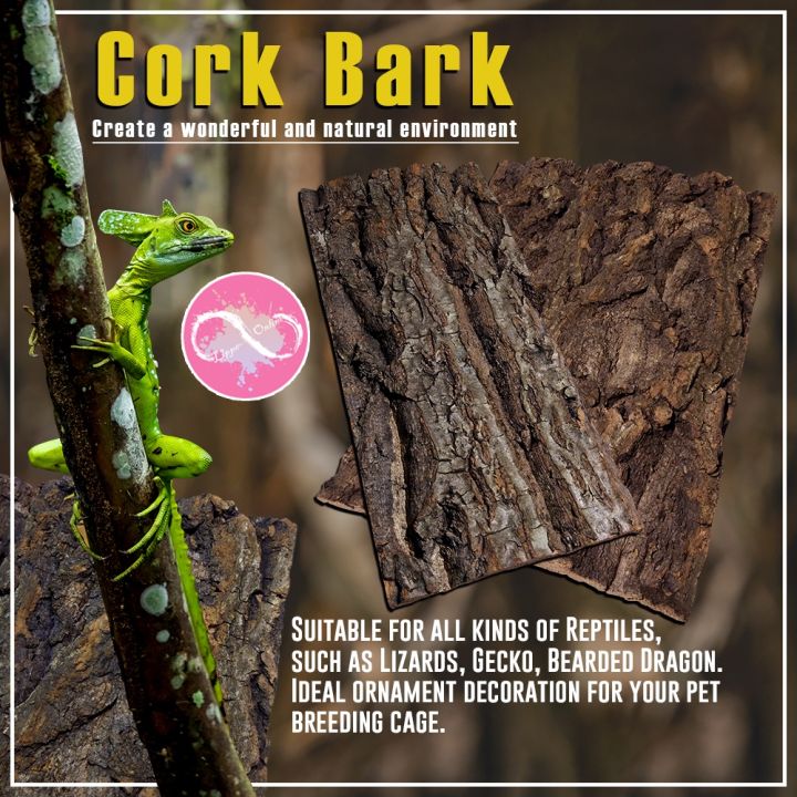 Natural Reptile Bark Cork Bark Hide for Isopods - Reptiles Exotic Pets Terrariums