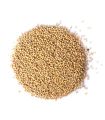 White Mustard Seeds | Ven kadugu (வெண்கடுகு  | සුදු අබ) - 100g. 