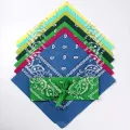 Unisex Men Women Cotton Bandana Hairband Cowboy Mens Biker Sports Headwear Wrist Hairwrap Double Sided Head Wrap Scarf Paisley. 