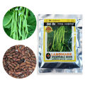Local Bean Seeds දේශීය මෑ බීජ 100g. 