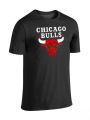 Chicago Bulls Logo Printed T shirt for men - Black. 