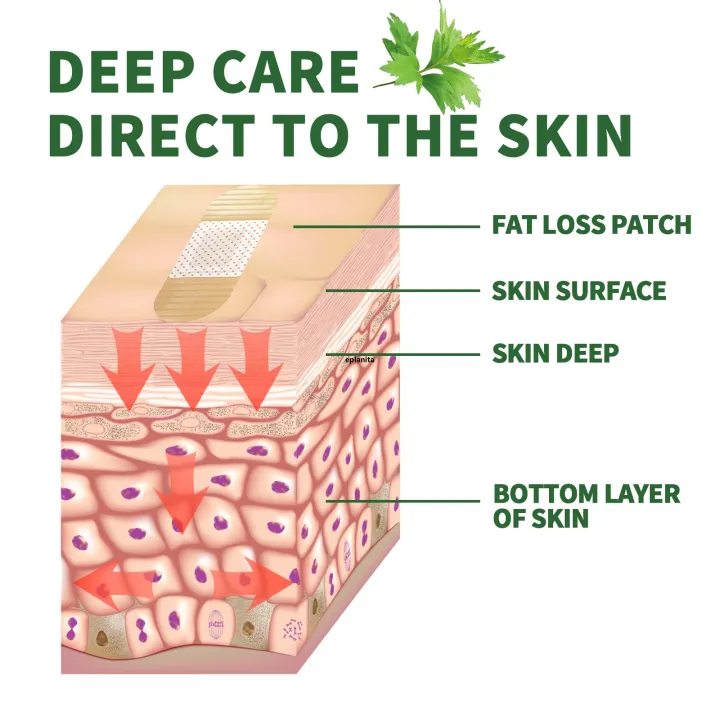 Eelhoe%20Slim%20Patch%20Healthy%20Loss%20Weight%20Fast%20Burning%20Slimming%20Waist%20Paste%20for%20Women%20Men%20Fat%20Oil%20Removing%20Tightening%20Arm%20Leg%20Muscle%20Lifting%20Detox%20Abdominal%20Navel%20Sticker%20Skin%20Shape%20the%20Body%20-%20Image%205