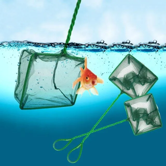 Aquarium Fish Net Fish Tank Net (4/5/6) Inches Nylon Fishing Nets Fish Catch Nets Fish Tank Green Mesh Net Fish Nets | Daraz.lk Aquarium Fish Net Fish Tank Net (4/5/6) Inches Nylon Fishing Nets Fish Catch Nets Fish Tank Green Mesh Net Fish Nets | Daraz.lk