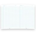 Richard Foolscap Paper - Square Rule #  (250 Sheets). 
