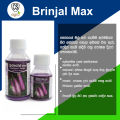 Brinjal Max Foliar Nutrient Liquid Fertilizer 200ml/400ml. 