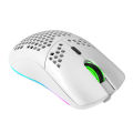 HXSJ T66 RGB 2.4G Wireless Gaming Mouse RGB Lighting Charging Mouse with Adjustable DPI Ergonomic Design for Desktop Laptop White. 