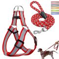 Small Adjustable Reflective Dog Harness Outdoor Walking Nylon Dog Leash Lead Pets Dog Sale Durable Traction Training Rope Dog Belt Dog Chain Dog Body Belt Chest Belt Step-in Harness Strap Stainless Steel Plastic Buckle Clasp Dog Collar Dog Strap Dogs Belt. 
