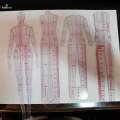Clothing Design Drawing Template Ruler 4 Models Template for Drafting DIY Quilting Sewing Clothing. 