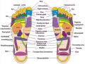 Foot Massage Slippers Acupuncture Therapy Massager Shoes For Foot Acupoint. 