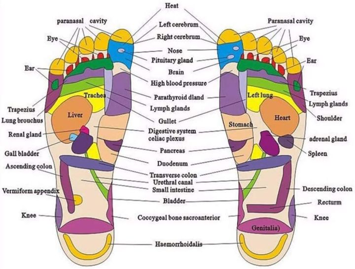 Foot%20Massage%20Slippers%20Acupuncture%20Therapy%20Massager%20Shoes%20For%20Foot%20Acupoint%20-%20Image%203